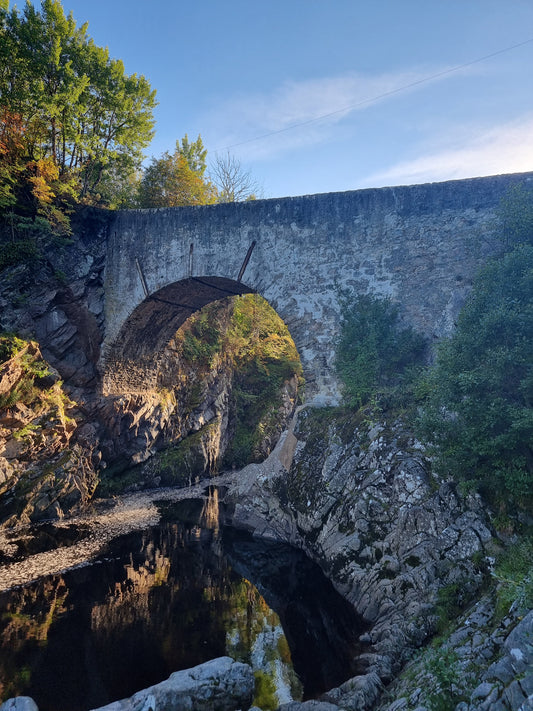 WIQ T-Shirt 8 - Moray