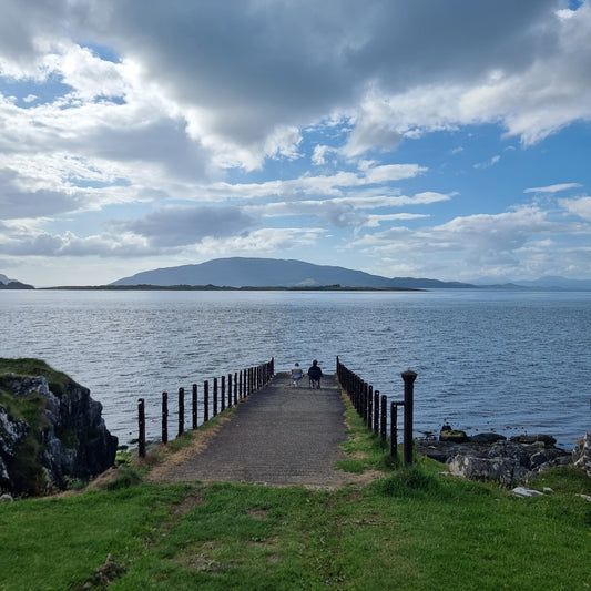 WIQ T-Shirt 7 - Argyll & Bute