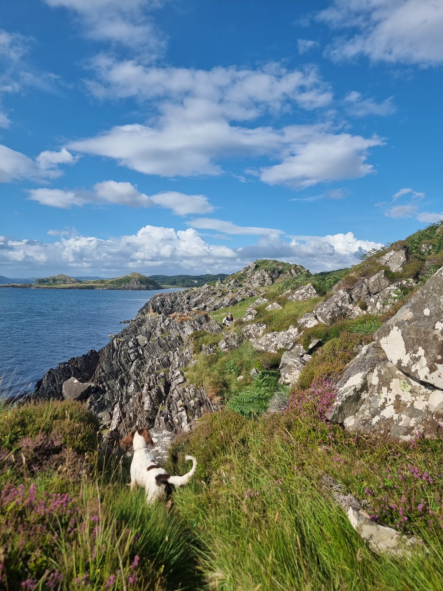 WIQ T-Shirt 7 - Argyll & Bute