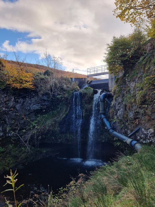 WIQ T-Shirt 3 - Stirlingshire