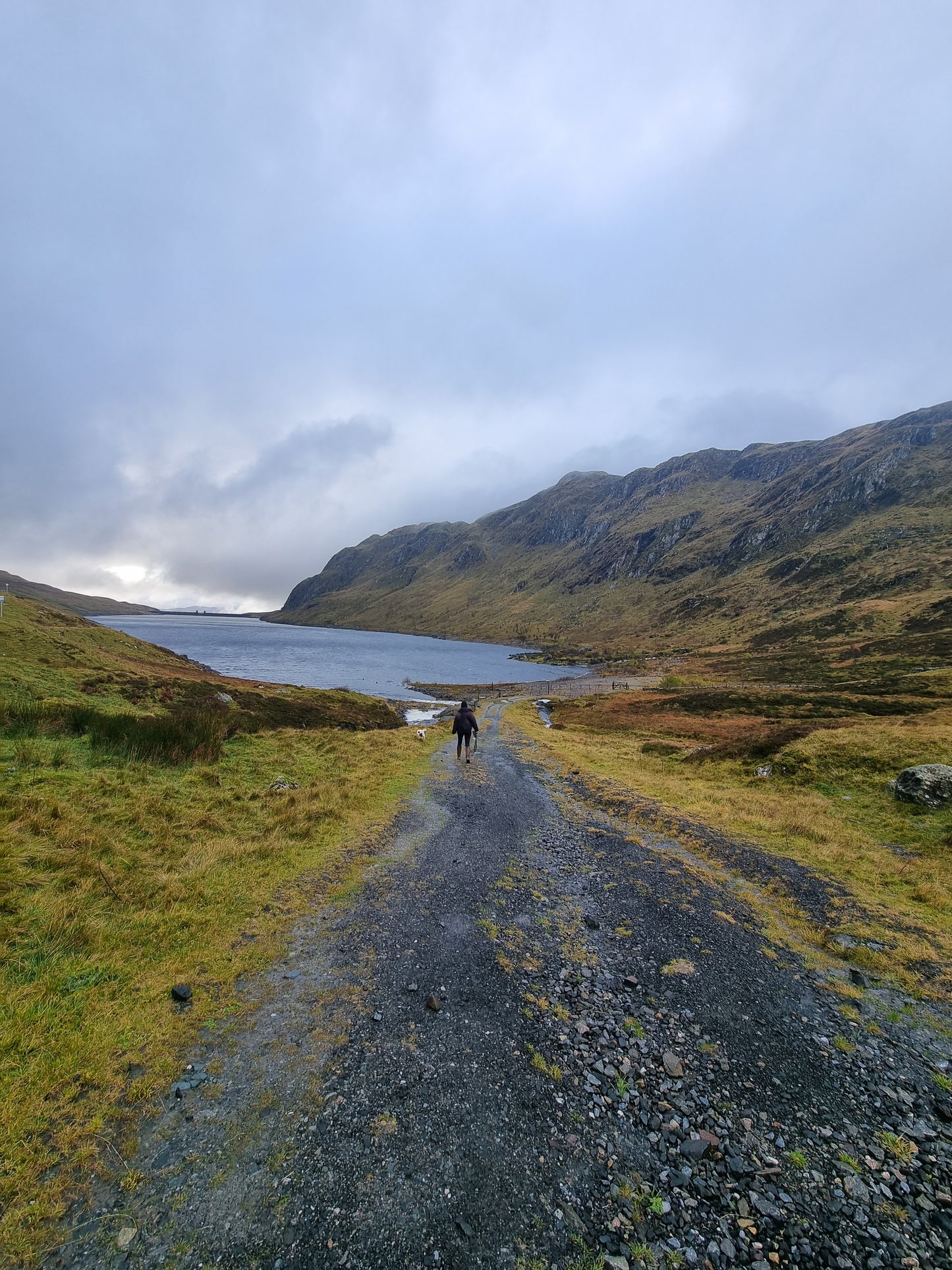 WIQ T-shirt 4 - Perthshire