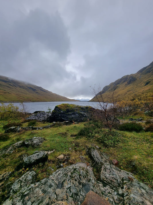 WIQ T-shirt 4 - Perthshire