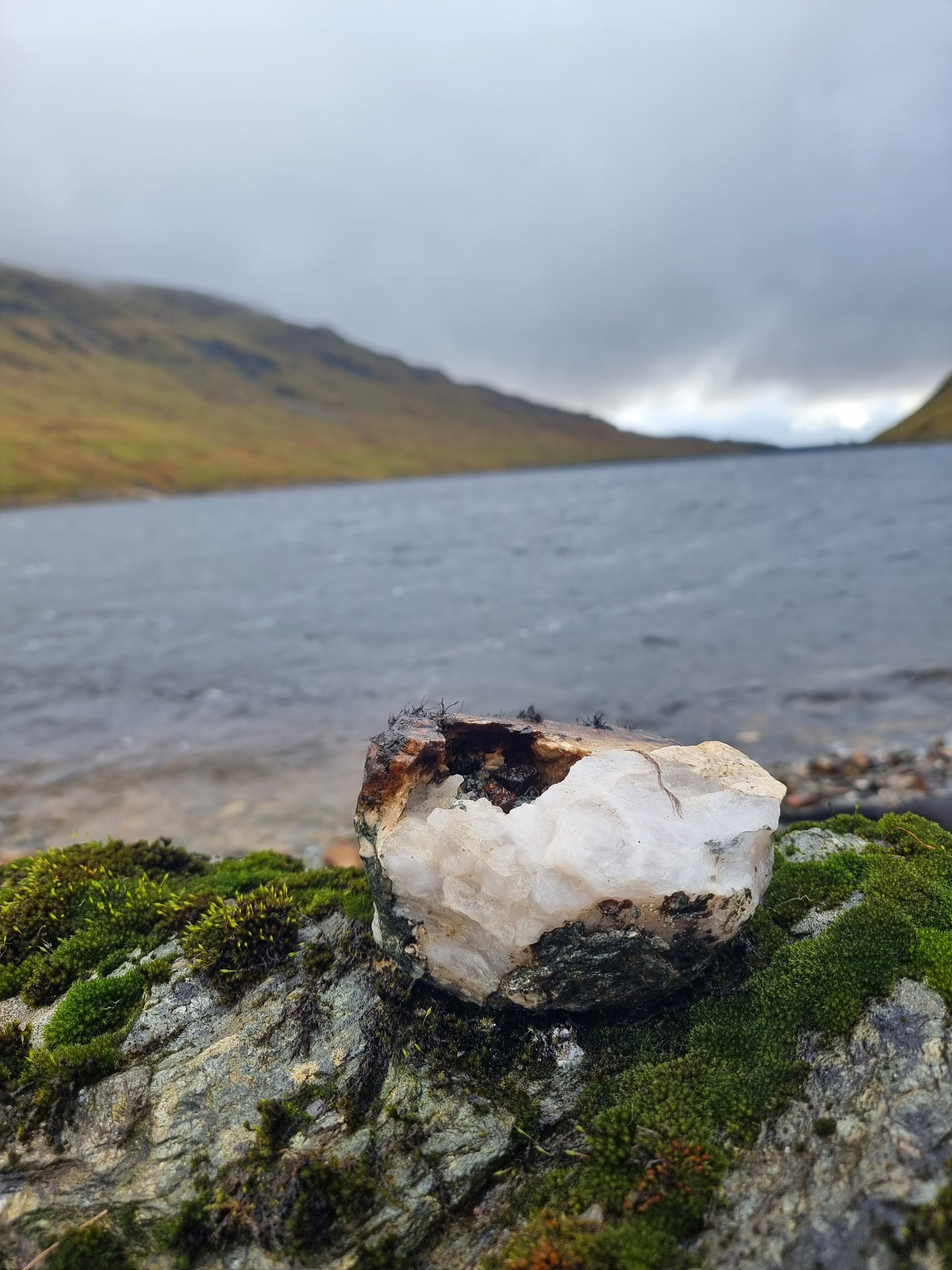 WIQ T-shirt 4 - Perthshire