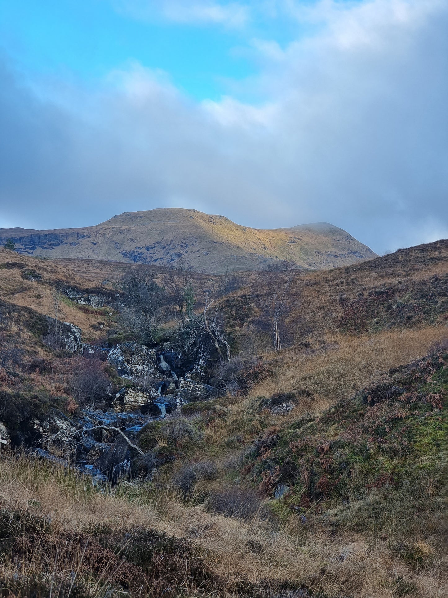 WIQ T-shirt 6 - Perthshire