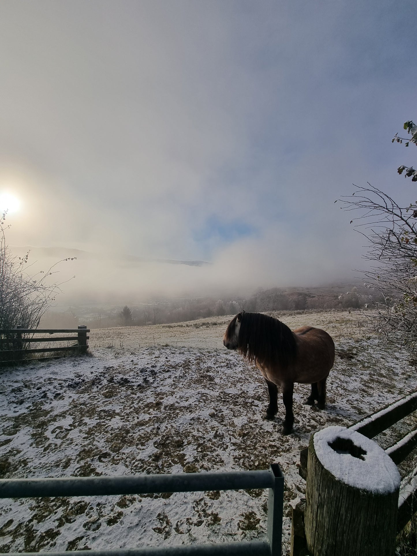 WIQ T-shirt 5 - Perthshire