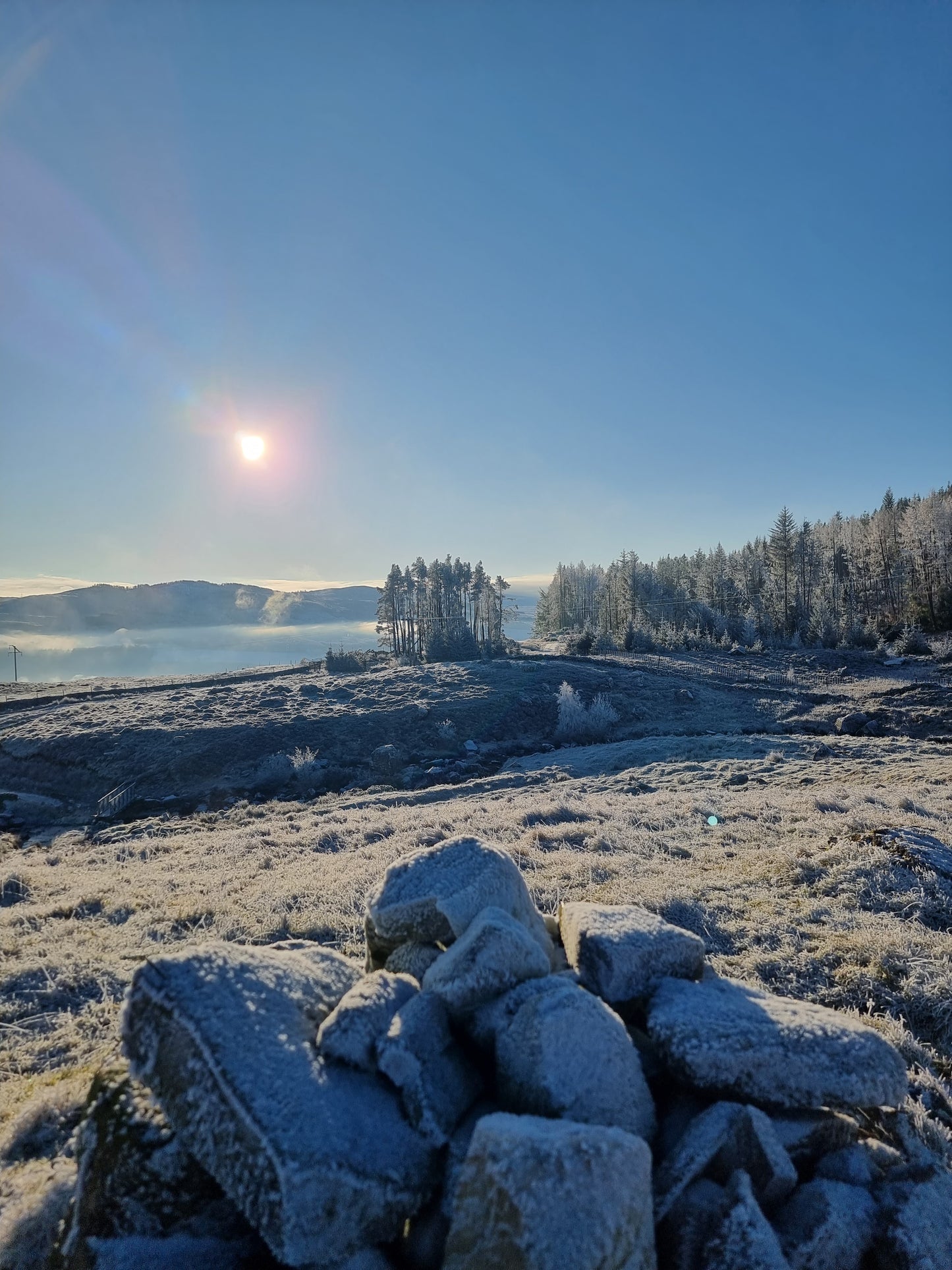 WIQ T-shirt 5 - Perthshire