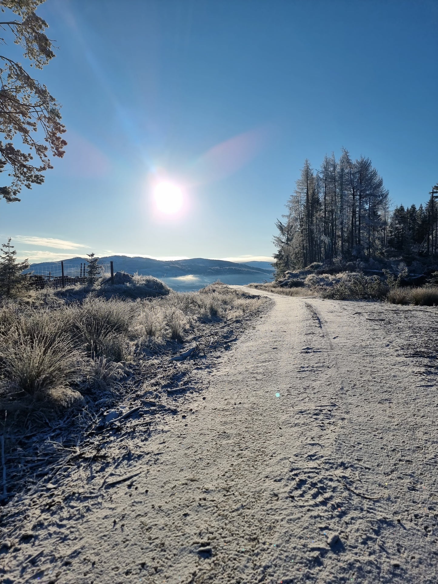 WIQ T-shirt 5 - Perthshire