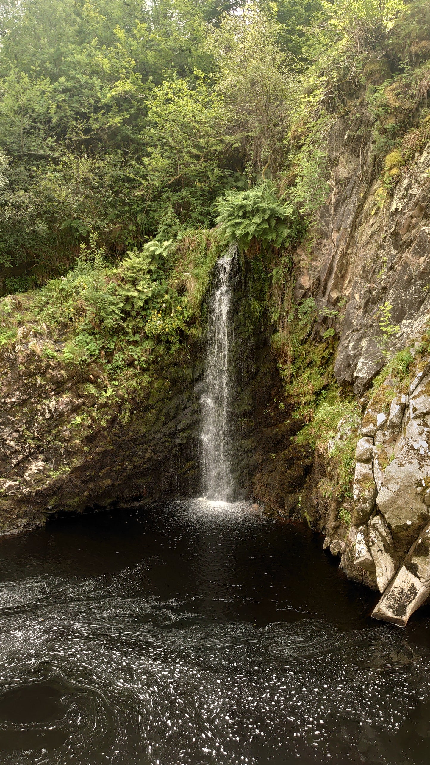 WIQ T-Shirt 8 - Moray