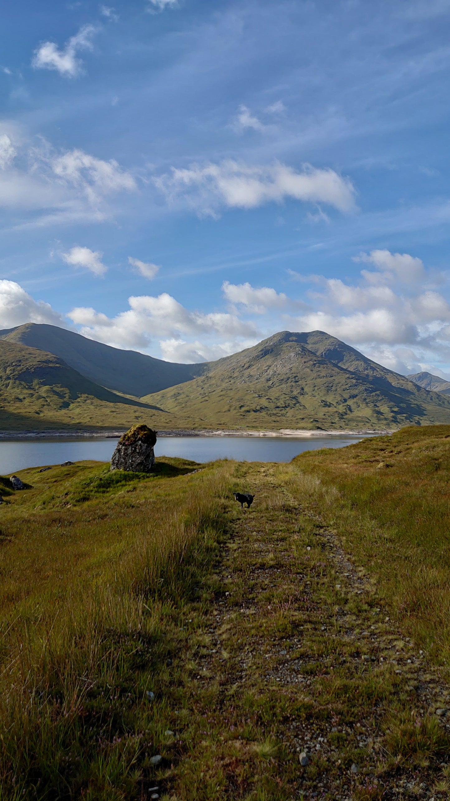 WIQ T-Shirt 1 - Remote West Coast