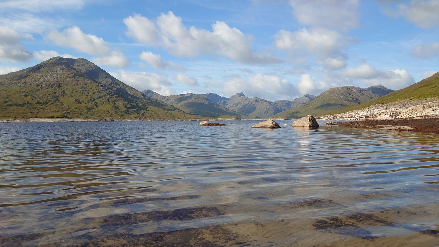 WIQ T-Shirt 1 - Remote West Coast