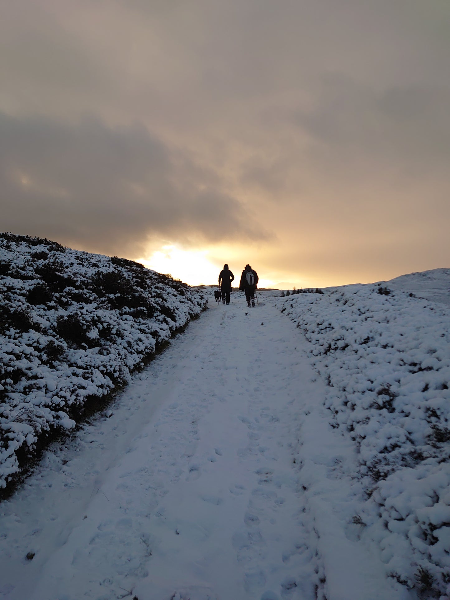 WIQ T-shirt 5 - Perthshire