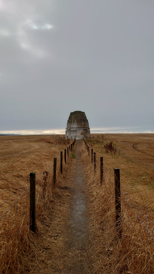 WIQ T-Shirt 9 - Moray