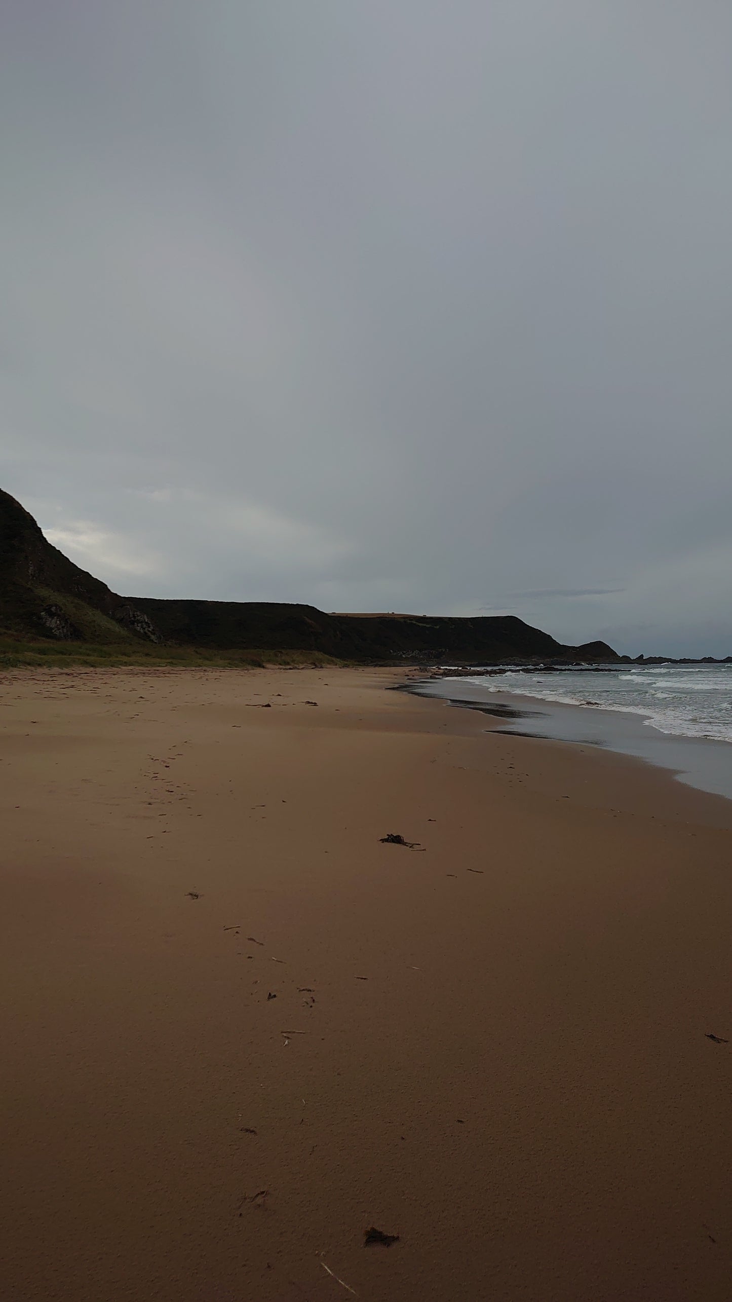 WIQ T-Shirt 9 - Moray