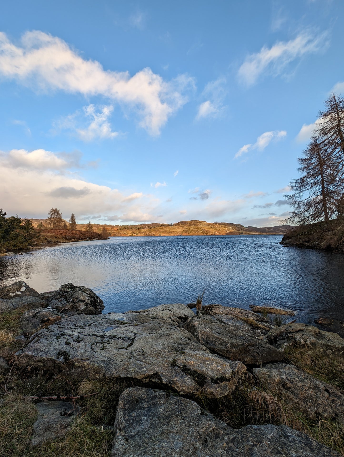 WIQ T-shirt 10 - Perthshire