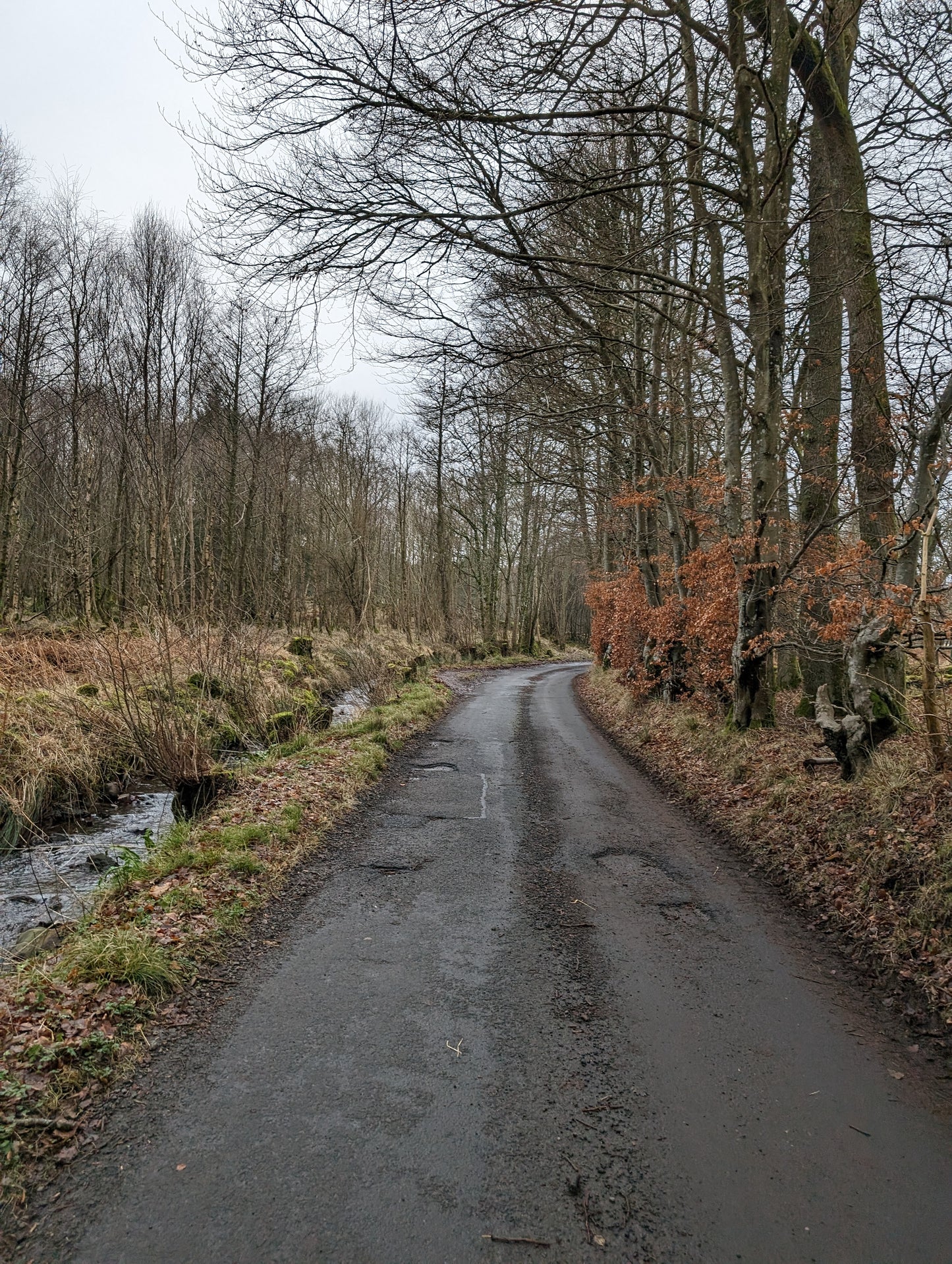 WIQ T-shirt 11 - Stirlingshire