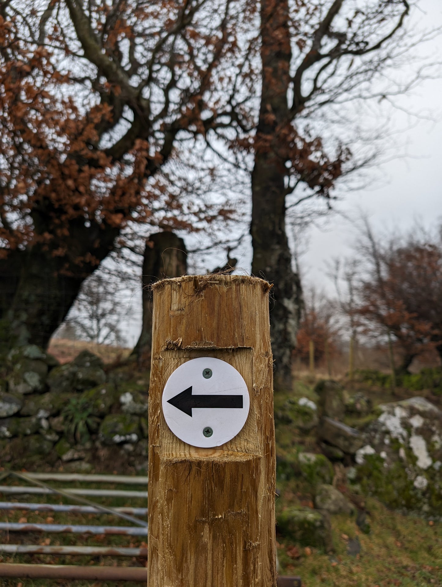 WIQ T-shirt 11 - Stirlingshire