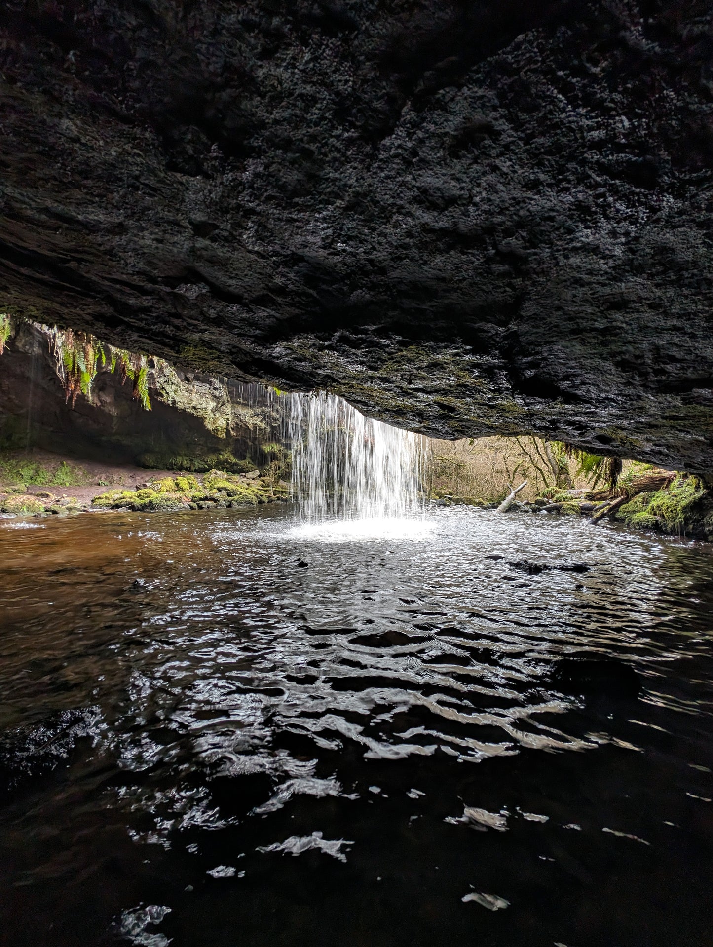 WIQ T-shirt 11 - Stirlingshire