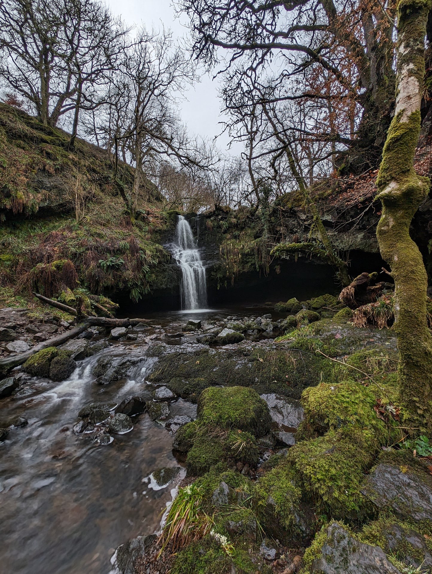 WIQ T-shirt 11 - Stirlingshire