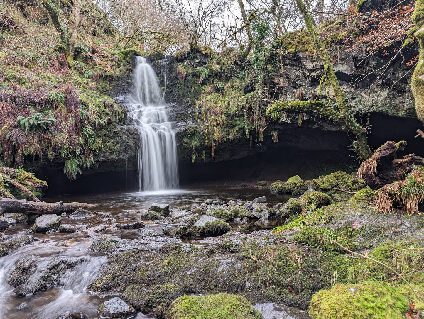 WIQ T-shirt 11 - Stirlingshire