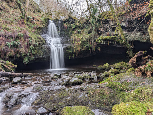 WIQ T-shirt 11 - Stirlingshire