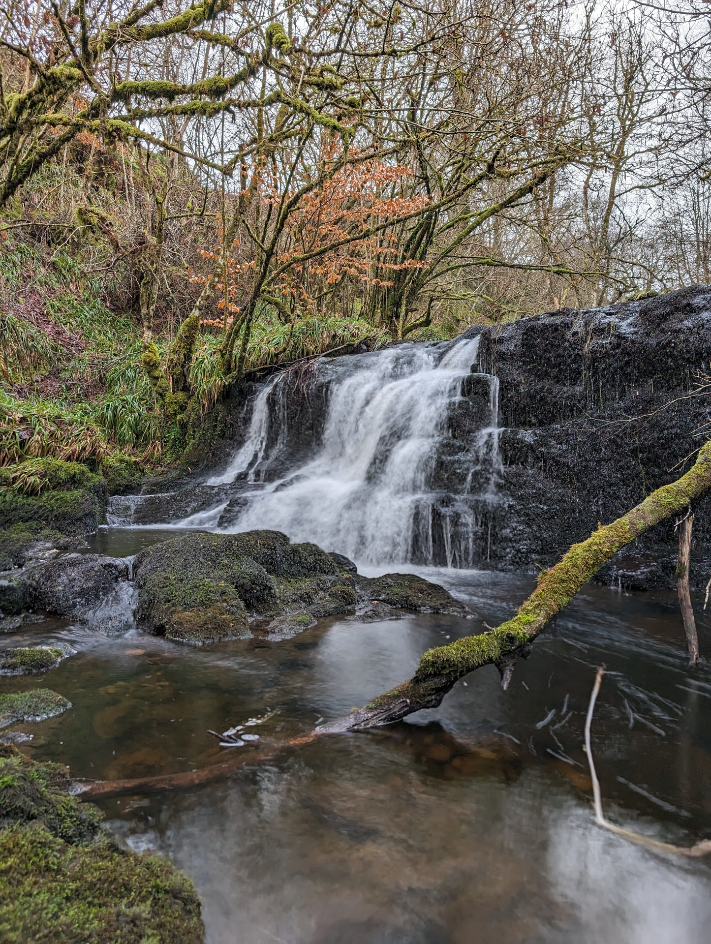 WIQ T-shirt 11 - Stirlingshire