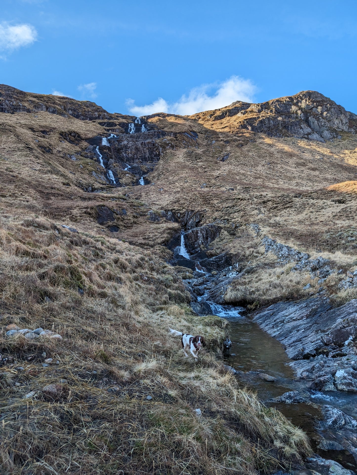 WIQ T-shirt 14 - Argyll and Bute