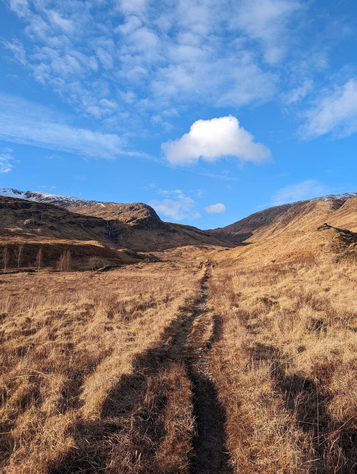 WIQ T-shirt 14 - Argyll and Bute