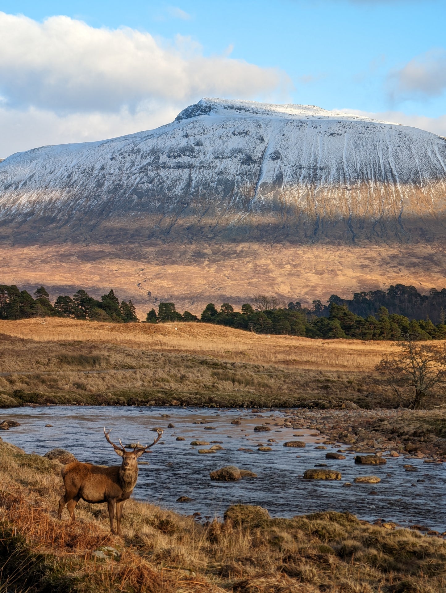 WIQ T-shirt 14 - Argyll and Bute