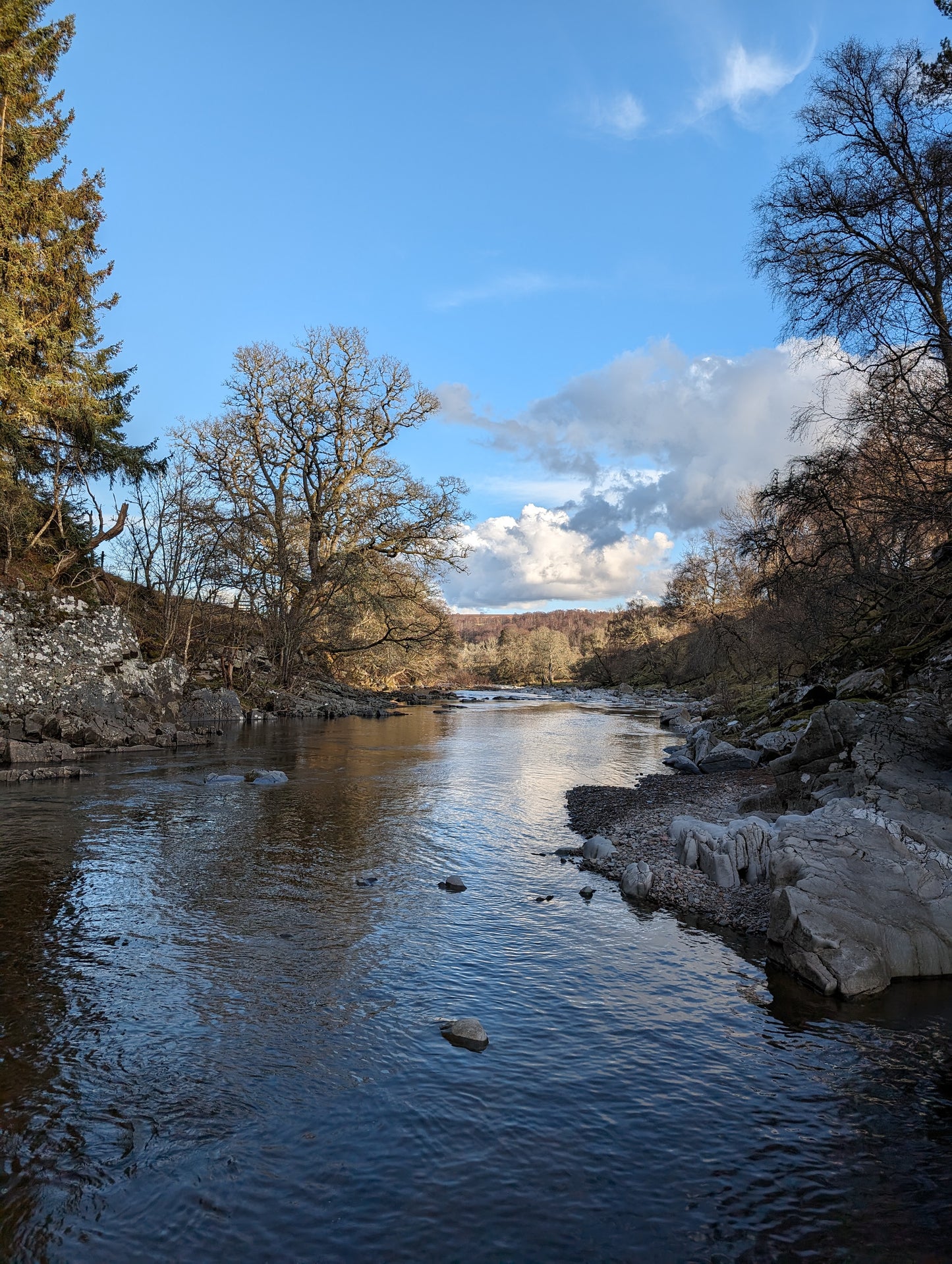 WIQ T-shirt 13 - Perthshire